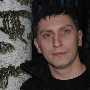 Дмитрий, 41 год, Нижний Новгород