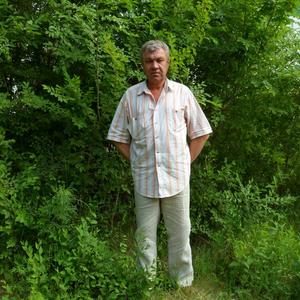 Парни в Омске: Анатолий, 66 - ищет девушку из Омска