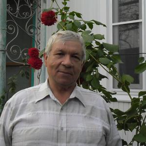 Василий, 75 лет, Краснодар