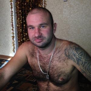 Василий, 42 года, Белгород