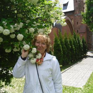 Татьяна, 65 лет, Электросталь