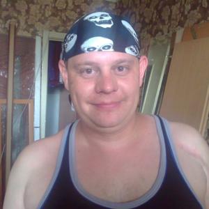 Дмитрий Николевич, 44 года, Железногорск