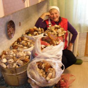 Елена, 67 лет, Кострома