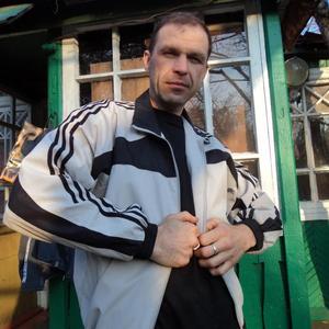Igor, 52 года, Воронеж