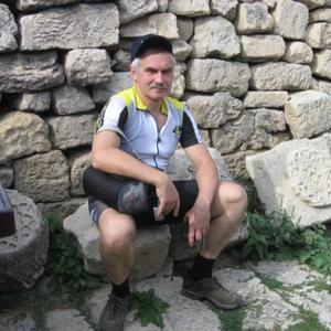 Андрей, 69 лет, Подольск