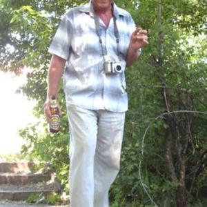 Валериан, 66 лет, Волгоград