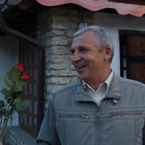 Вячеслав, 62 года, Псков