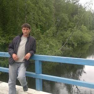 Александр, 49 лет, Костомукша