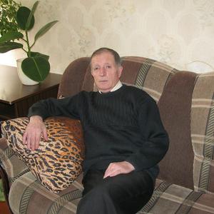 Владимир Трубицын, 74 года, Грязи