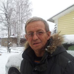 Анатолий, 66 лет, Иркутск