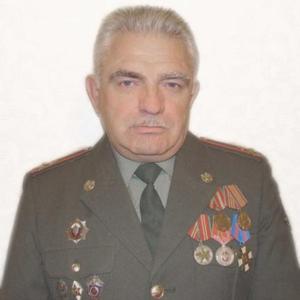 Игорь, 67 лет, Мытищи