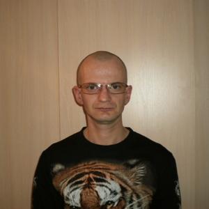 Дима, 46 лет, Железногорск