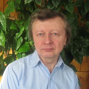 Геннадий Грушин, 69 лет, Егорьевск