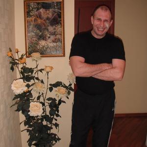 Владимир, 48 лет, Буй