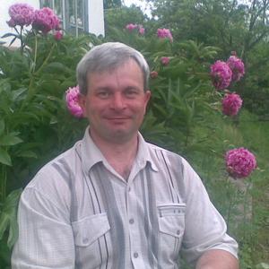 Roman, 47 лет, Партизанск