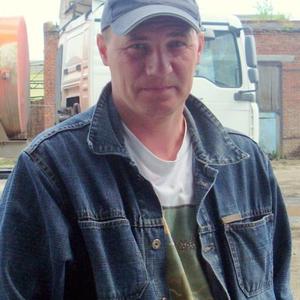 Михаил Волегов, 65 лет, Пермь