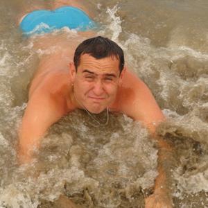 Сергей, 37 лет, Выборг
