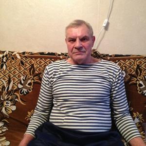 Саша, 78 лет, Воскресенск