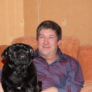 Константин, 52 года, Озерск
