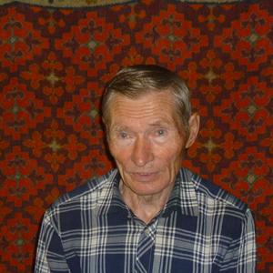 Виталий, 76 лет, Киров
