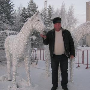Толян, 62 года, Ноябрьск