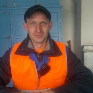 Сергей, 40 лет, Белово