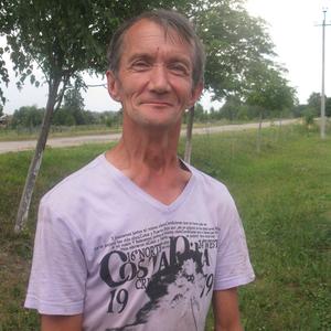 Владимир, 61 год, Канаш