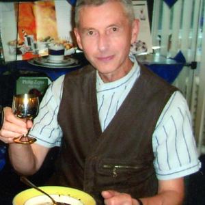 Роман, 66 лет, Ярославль
