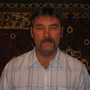 Владимир, 66 лет, Завьялово