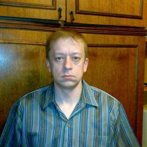 Дима Криков, 49 лет, Рыбинск