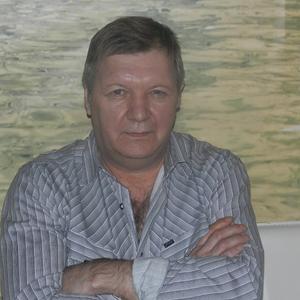 Виктор Пестов, 65 лет, Архангельск