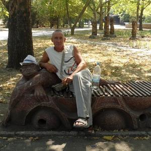 Игорь, 64 года, Новомичуринск