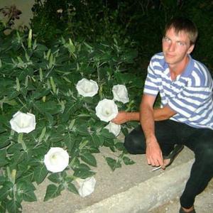Евгений, 40 лет, Киев
