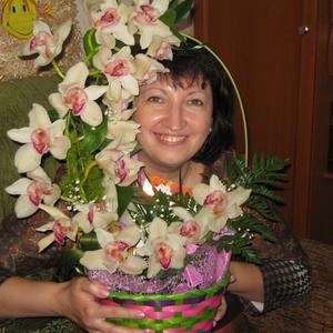 Татьяна, 51 год, Барнаул