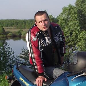 Владимир, 44 года, Новозыбков