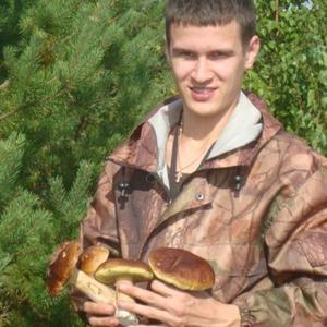 Никита, 33 года, Архангельск