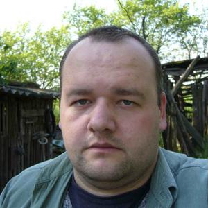 Алексей, 47 лет, Сертолово