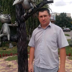 Александр, 42 года, Павловск