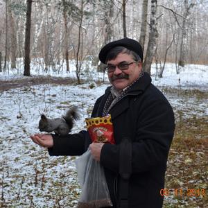 Александр, 68 лет, Красноярск