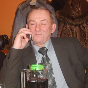 Анатолий, 75 лет, Архангельск