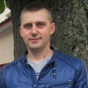 Андрей, 36 лет, Борисов