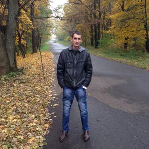Александр, 35 лет, Курск