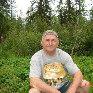 Анатолий, 70 лет, Верховажье