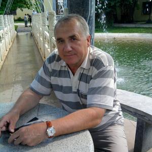 Vladimir, 69 лет, Тула