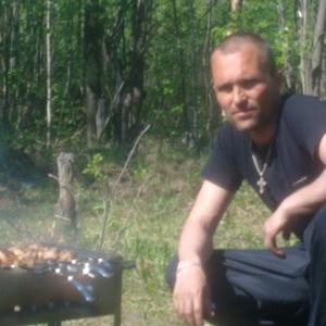 Вячеслав, 49 лет, Апатиты