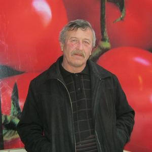 Анатолий, 67 лет, Калининград
