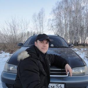 Владимир, 47 лет, Чулым