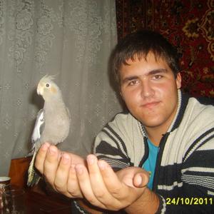 Дмитрий, 31 год, Тихорецк