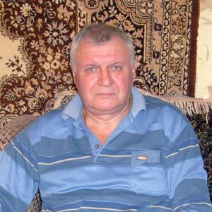 Михаил, 73 года, Смоленск