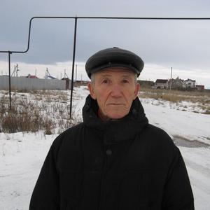 Юрий Дмитриевич., 80 лет, Самара